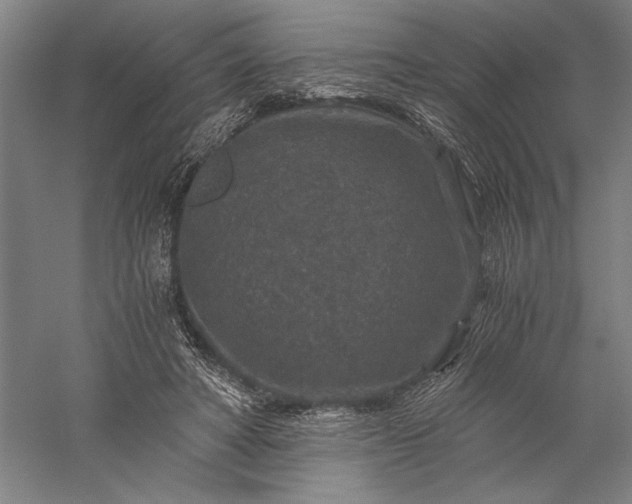 X0000056380402200509091720