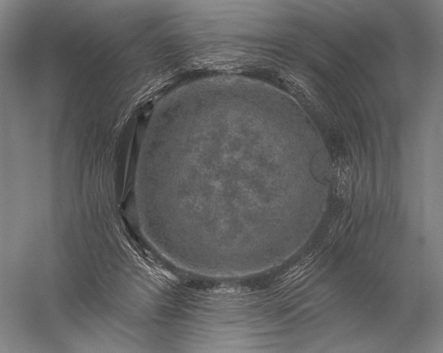 X0000056380404200509091720