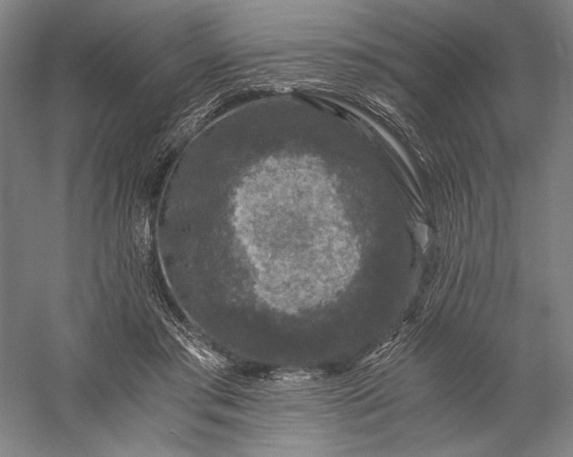 X0000056380405200509091720