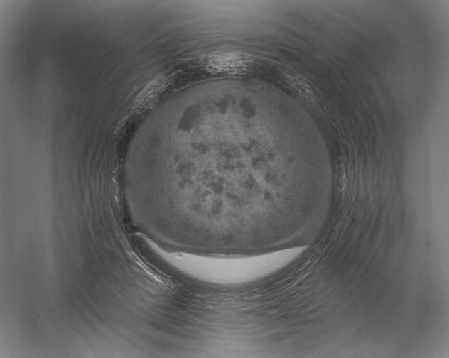 X0000056380408200509091720