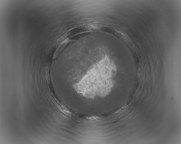 X0000056380409200509091720