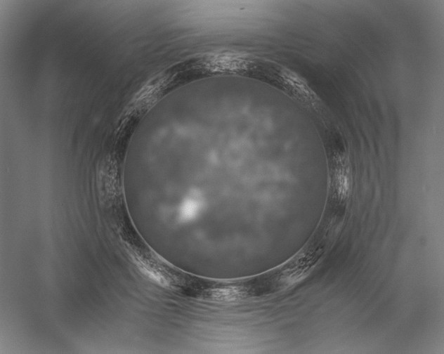 X0000056380411200509091720