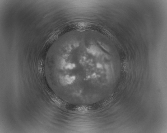 X0000056380423200509091720