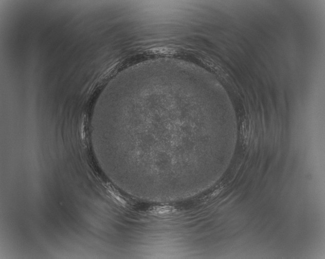 X0000056380424200509091720