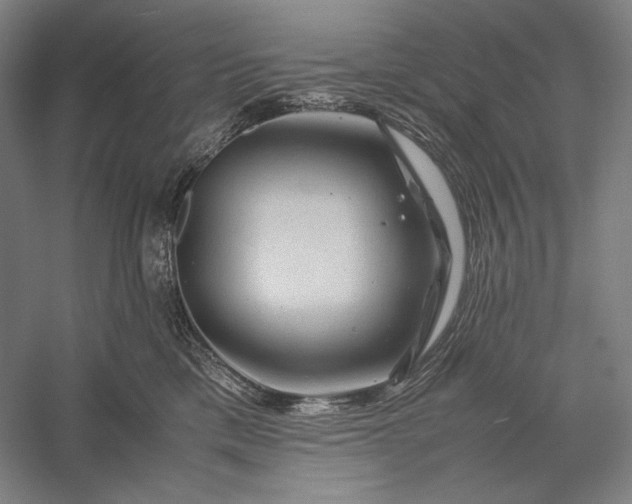 X0000056380425200509091720