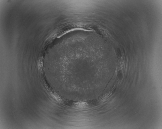 X0000056380427200509091720