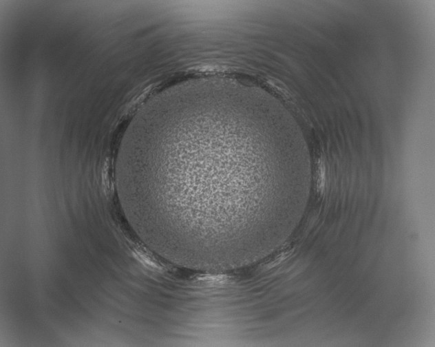 X0000056380428200509091720