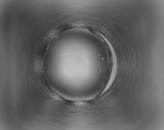 X0000056380429200509091720