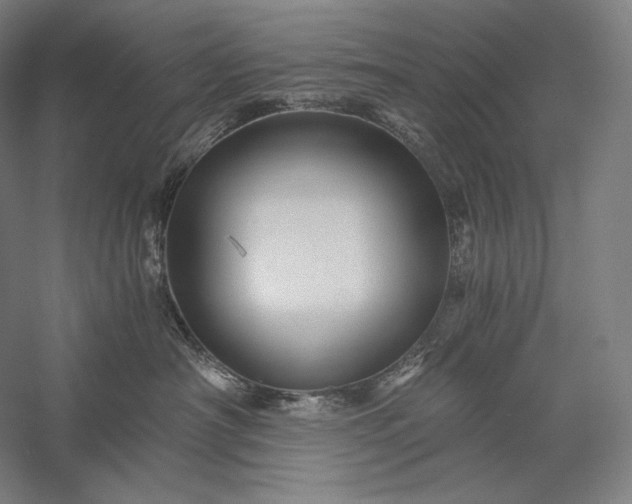 X0000056380430200509091720