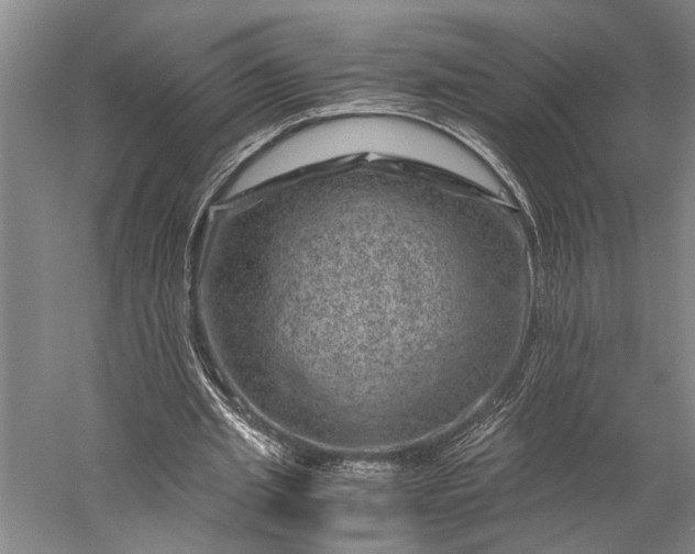 X0000056380437200509091719