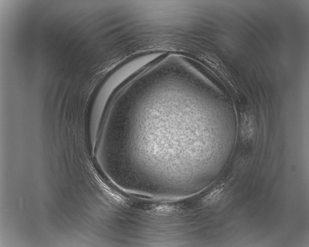 X0000056380441200509091719