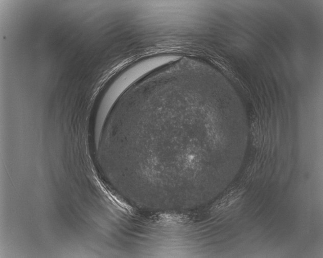 X0000056380442200509091719