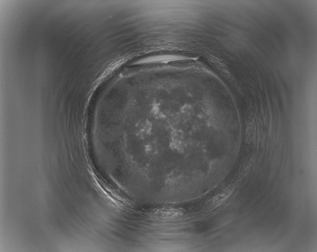 X0000056380443200509091719