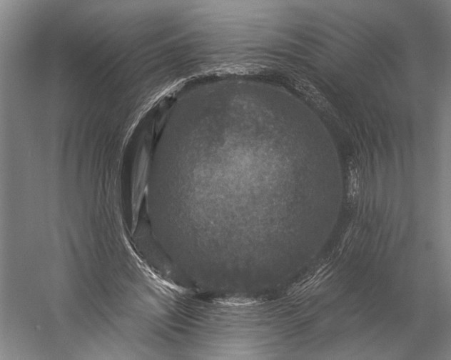 X0000056380444200509091719