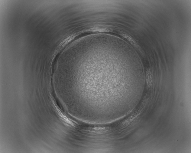 X0000056380445200509091719