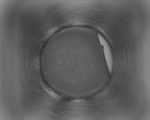 X0000056380447200509091719