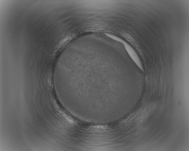 X0000056380449200509091719