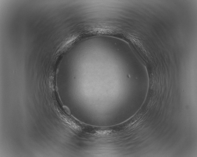 X0000056380450200509091719