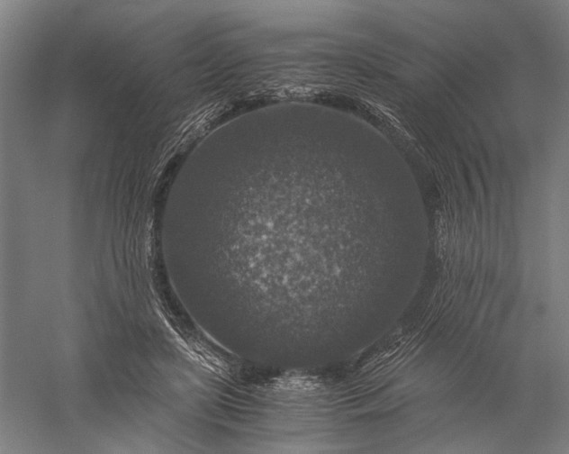 X0000056380451200509091719