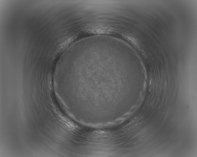 X0000056380453200509091719