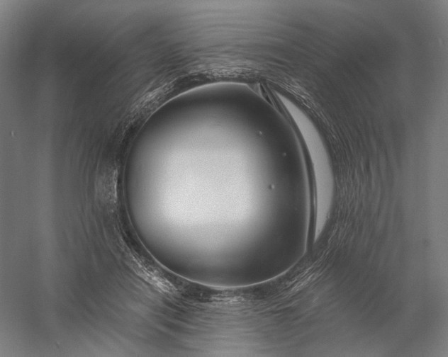 X0000056380454200509091719