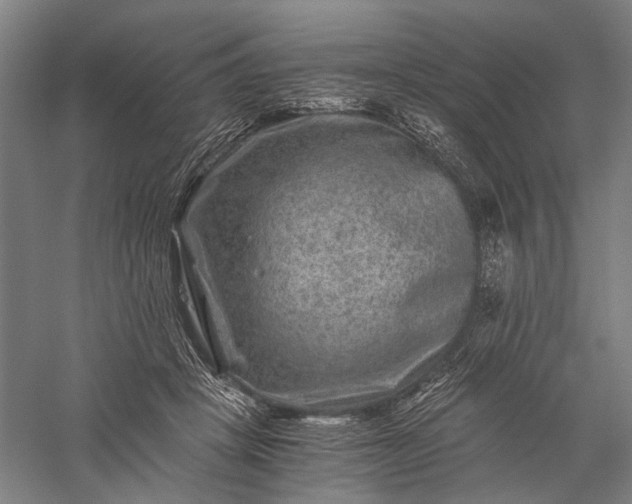 X0000056380457200509091719