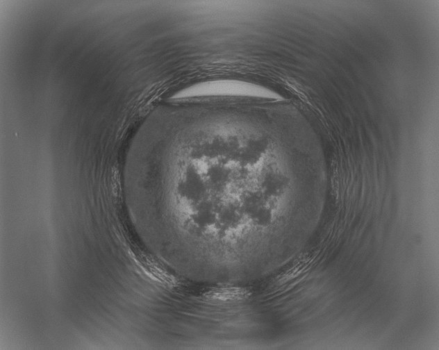 X0000056380459200509091719