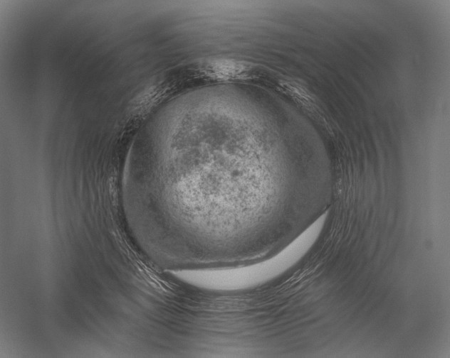 X0000056380461200509091719