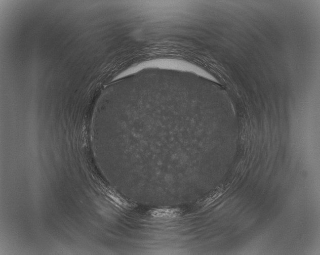 X0000056380465200509091720