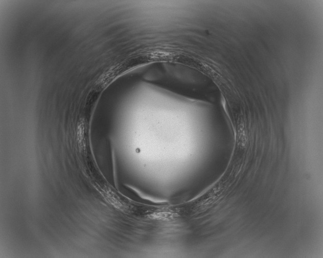 X0000056380468200509091720