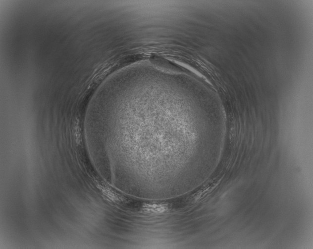 X0000056380469200509091720