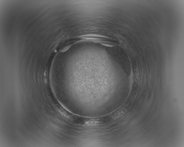 X0000056380470200509091720