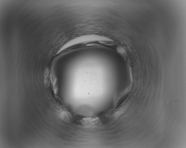 X0000056380480200509091720