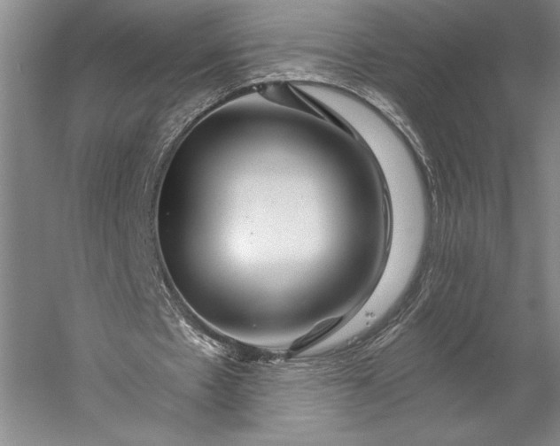 X0000056380481200509091719