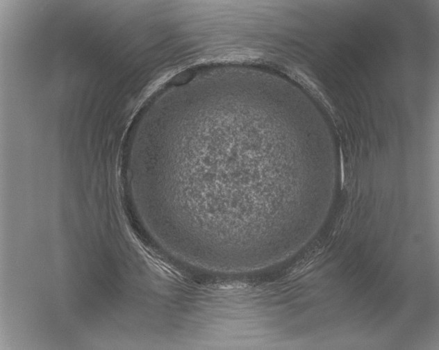 X0000056380483200509091719