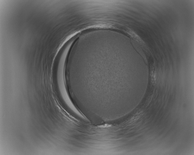 X0000056380484200509091719