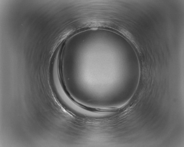 X0000056380485200509091719