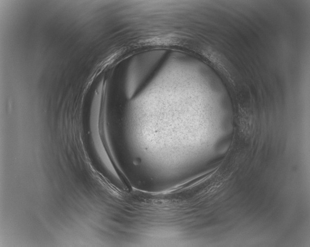 X0000056380486200509091719