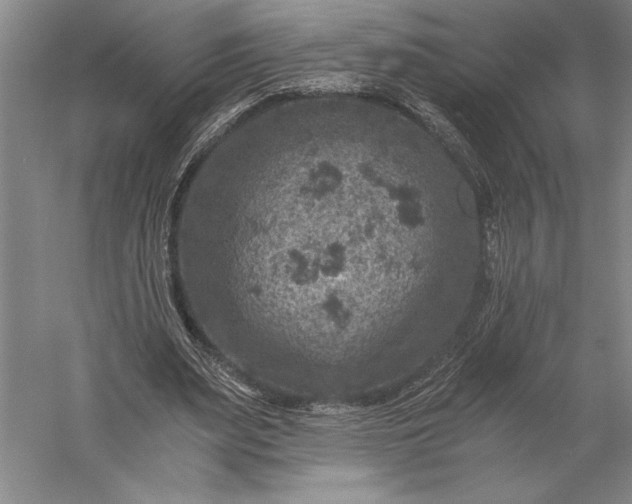 X0000056380487200509091719