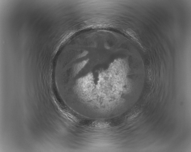 X0000056380491200509091719