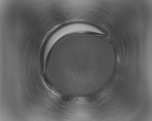 X0000056380492200509091719