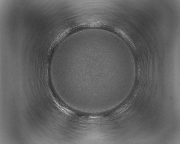 X0000056380493200509091719