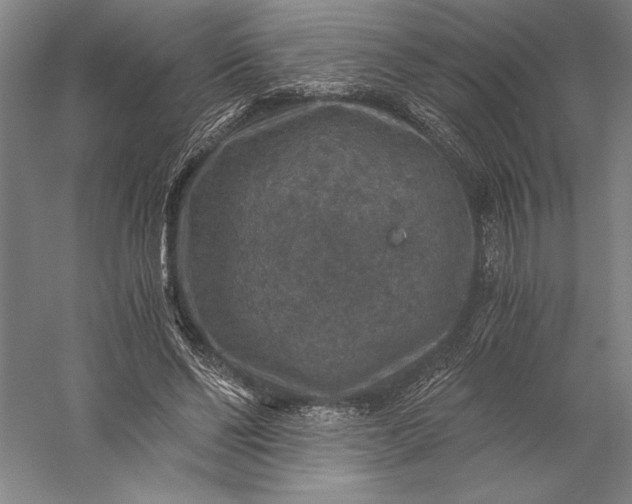 X0000056380494200509091719