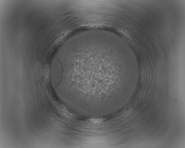 X0000056380495200509091719