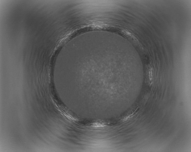 X0000056380496200509091719