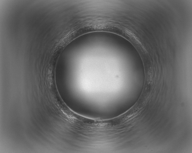 X0000056380497200509091719