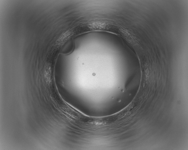 X0000056380498200509091719