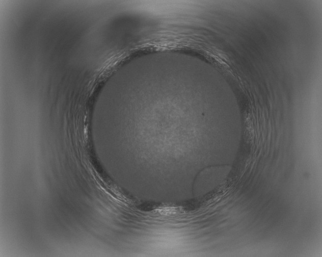 X0000056380499200509091719