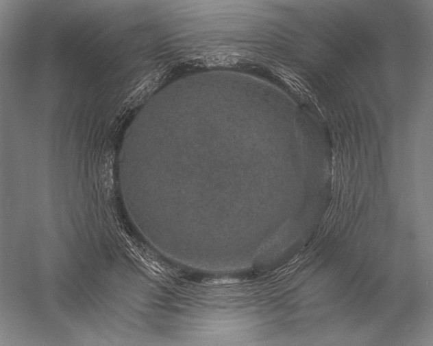 X0000056380501200509091719