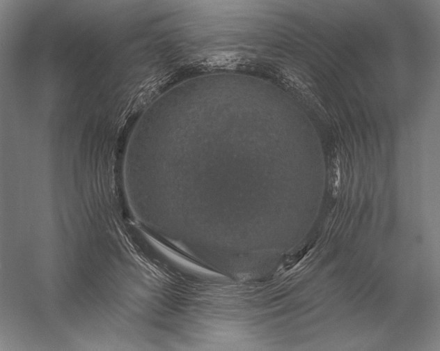 X0000056380504200509091719